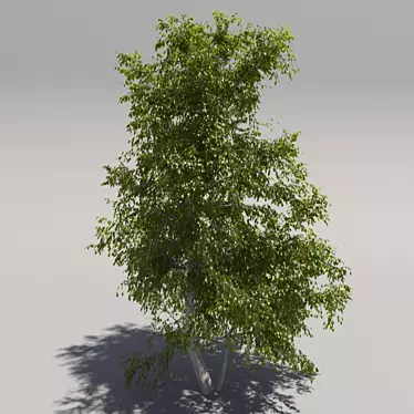 Giant Tree: Geometric Foliage 3D model image 1 