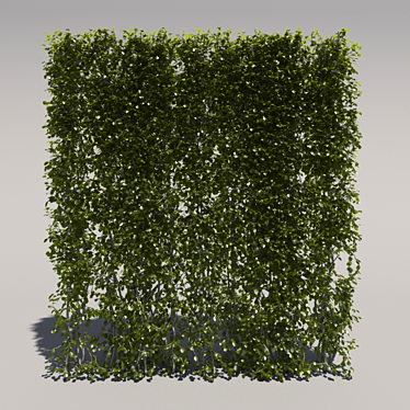High Trimmed Bush 3D model image 1 