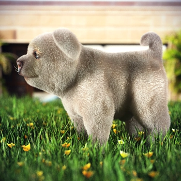 Adorable Pet Dog: 3D Max2011 3D model image 1 