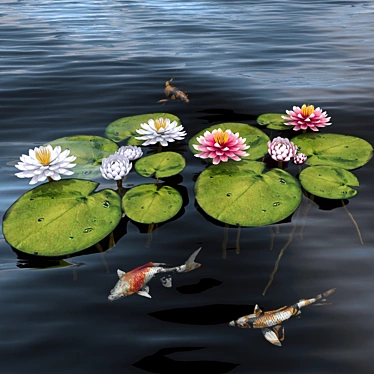 Floating Waterlily Elegance 3D model image 1 