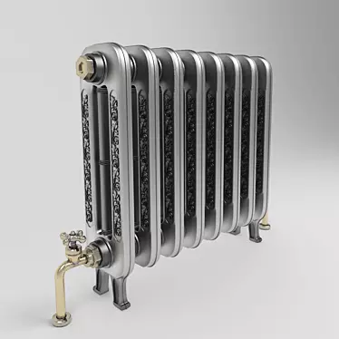 Cast Iron Radiator with Brass Pipes 3D model image 1 