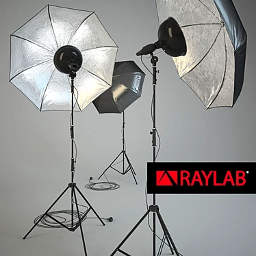 RAYLAB Studio Light 3D model image 1 