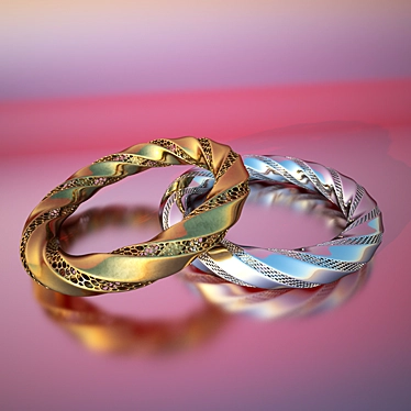 Golden-Silver Ring 3D model image 1 