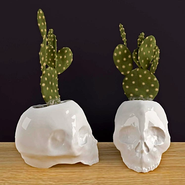 Ceramic Skull Planter