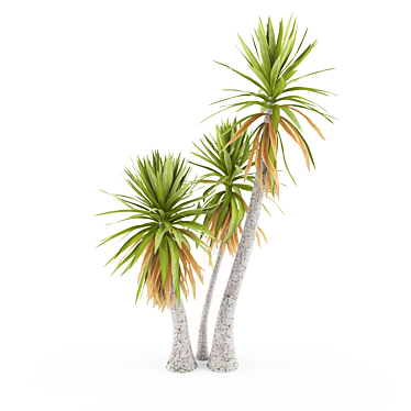 Yucca aloifolia: Stunning Garden Decor 3D model image 1 