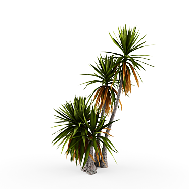 Elegant Yucca #2 for Exquisite Gardens 3D model image 1 