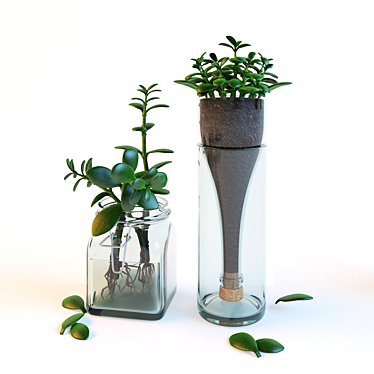 Glass Jar Money Tree 3D model image 1 