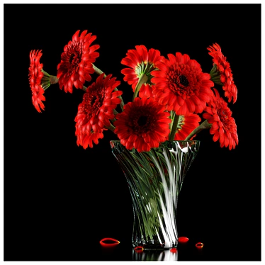 Vibrant Red Gerbera Bouquet 3D model image 1 