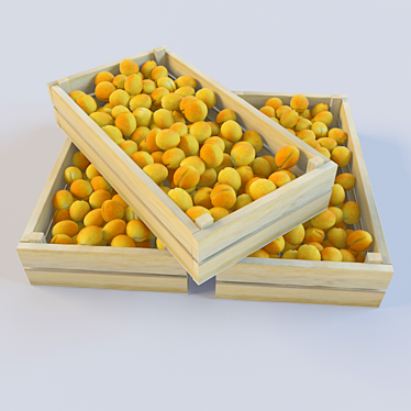  Fresh Apricots from Russia 3D model image 1 