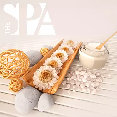 Relaxation Haven: Decor SPA 3D model image 1 