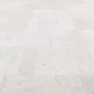 Multi-Texture Limestone Flooring 3D model image 1 