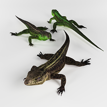 Lizard Trio: Varied Textures 3D model image 1 