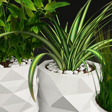 Marquis Potted Plants: Greenery Collection 3D model image 1 