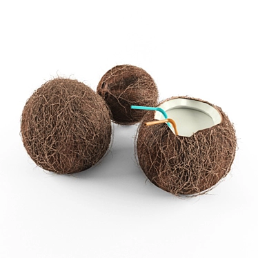 Exotic Coconut Duo: Open & Closed 3D model image 1 