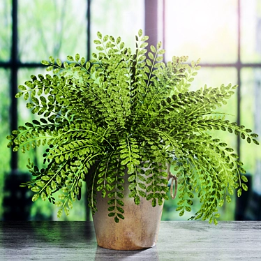 Stylish Decorative Plant: A Touch of Green 3D model image 1 