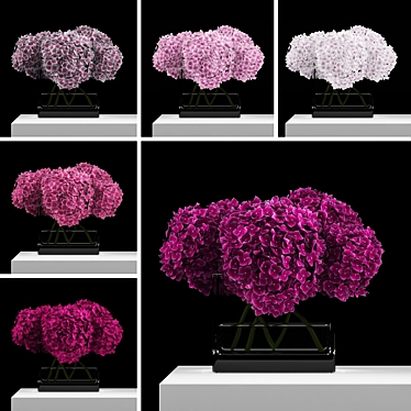 Blooming Pink Hydrangeas Bouquet 3D model image 1 