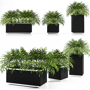 Versatile Planter Box Collection 3D model image 1 