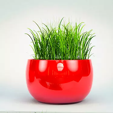 Lush Potted Grass: Beautiful, Low-Maintenance 3D model image 1 