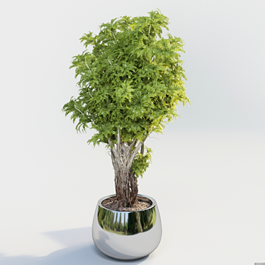 Lush Green Potted Bush 3D model image 1 