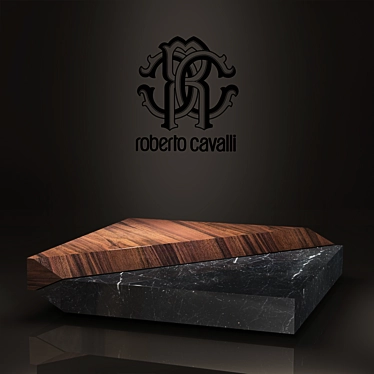 Vermeer coffee table / Roberto Cavalli