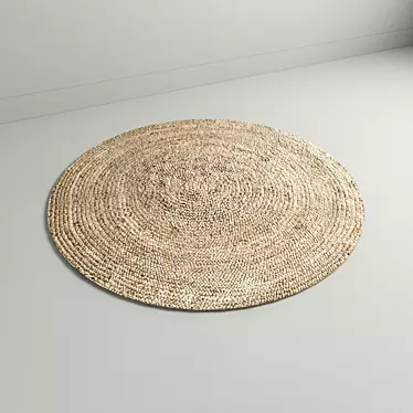 Natural Round Woven Rug 3D model image 1 