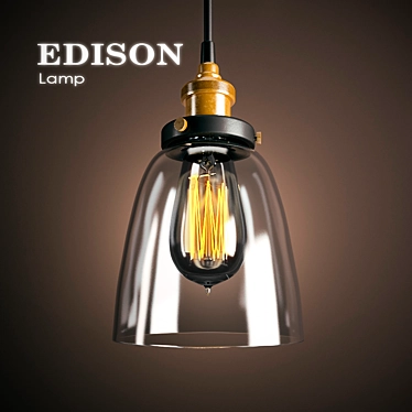 American Country Industrial Edison Lamp 3D model image 1 