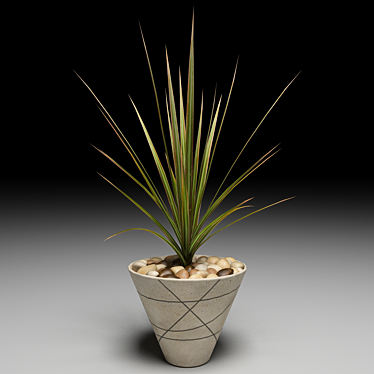 Lush Dracaena Marginata Tree 3D model image 1 