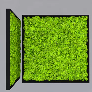 1000mm x 1000mm Moss Art 3D model image 1 