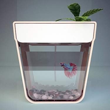 Transparent Fish Pond - 30.5x29.5cm 3D model image 1 