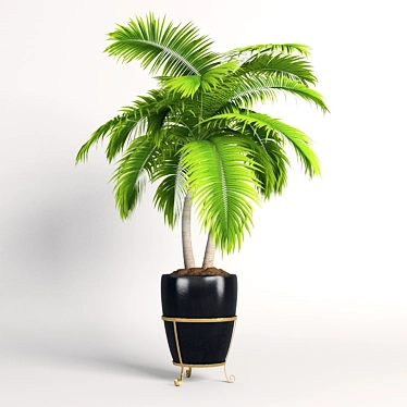 Tropical Duo Palm Trees 3D model image 1 