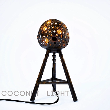 Coconut Shell Lamp: Height 430mm 3D model image 1 