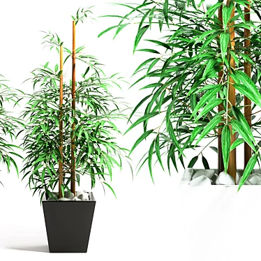 Zen Bamboo: Natural Serenity 3D model image 1 