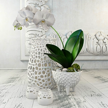 Orchid Blossom Decor Set 3D model image 1 