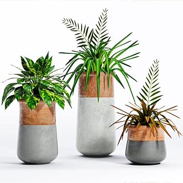 Variety of Decorative Plants 3D model image 1 