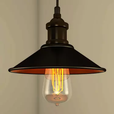 Metal Finish Ceiling Lamp 3D model image 1 