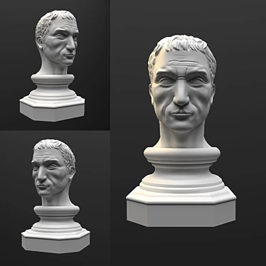 Roman General Julius Caesar Bust 3D model image 1 