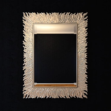 Elegant Silver Mirror with CARO CASA Frame 3D model image 1 