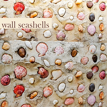 Seashell Paradise: Coastal Wall Décor 3D model image 1 