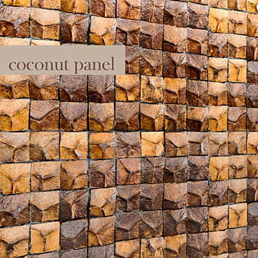 Natural Coconut Tiles 3D model image 1 