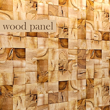 Wooden Panel 3D model image 1 