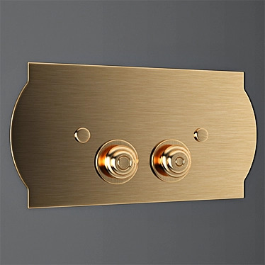 Elegant Flusher Button 3D model image 1 