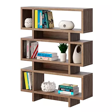 Bookcase with decor