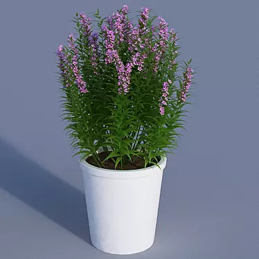 Heavenly PIN Pot 3D model image 1 