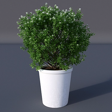 White Butterfly Potted Plant 3D model image 1 