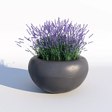 Serenity in a Bottle: Lavender Essential Oil 3D model image 1 