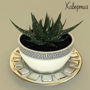 Haworthia - Stunning Ornamental Plant 3D model image 1 