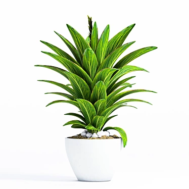 Decorative Plant: Max 2015, 2012, FBX 3D model image 1 