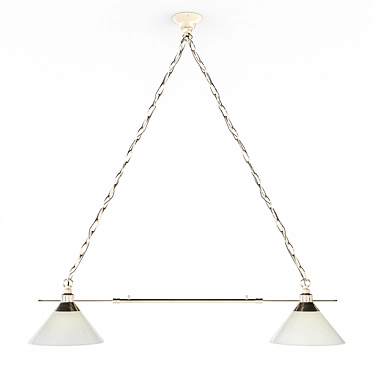 Cruby Double Pendant Light 3D model image 1 