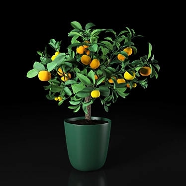 Vibrant Orange Room with Tall Plant 3D model image 1 