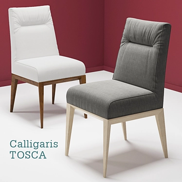 Elegance Embodied: Calligaris Tosca 3D model image 1 